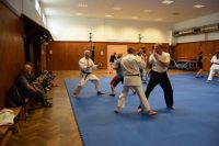 Bild (17)